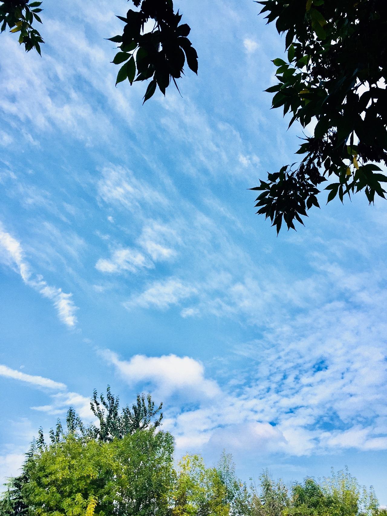 人生忽如寄，莫负茶汤、好天气