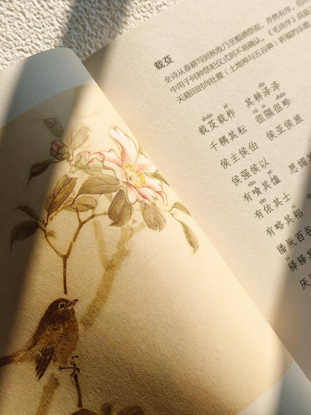 日常生活有文韵