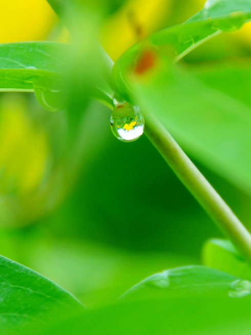 今夜，枕着雨声入眠