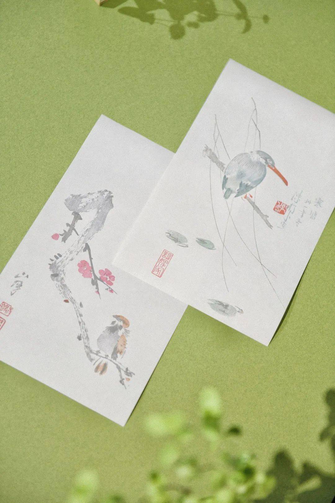 一坡花讯入诗笺