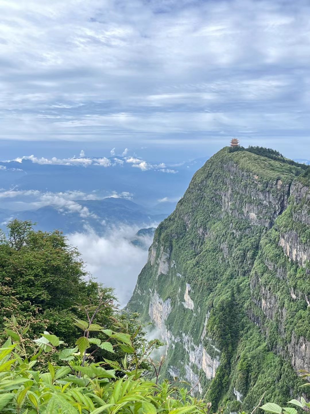 在望山楼上读书