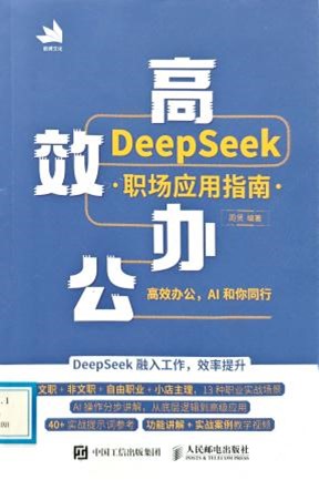 书名：《高效办公:DeepSeek职场应用指南》