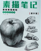 书名：《素描笔记.提升篇》
